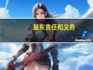股东责任和义务