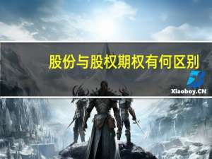 股份与股权期权有何区别