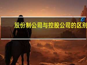 股份制公司与控股公司的区别