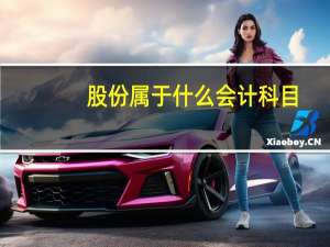 股份属于什么会计科目