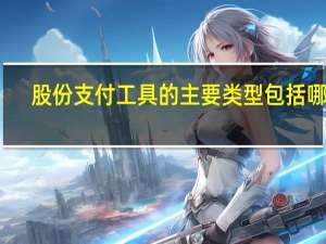 股份支付工具的主要类型包括哪些