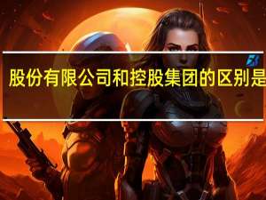 股份有限公司和控股集团的区别是什么