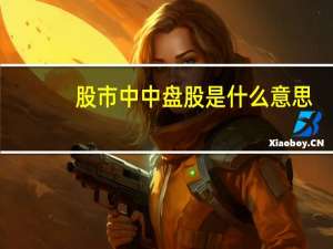 股市中中盘股是什么意思