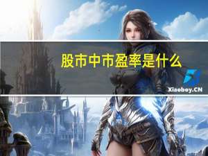 股市中市盈率是什么（股票市净率是什么意思）