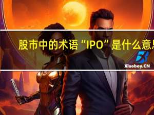 股市中的术语“IPO”是什么意思