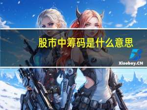 股市中筹码是什么意思