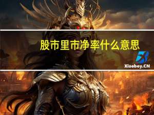 股市里市净率什么意思