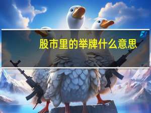 股市里的举牌什么意思