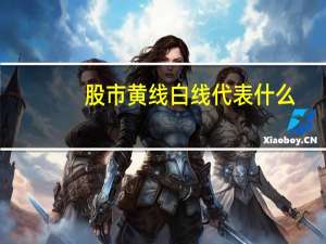 股市黄线白线代表什么