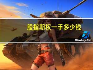 股指期权一手多少钱