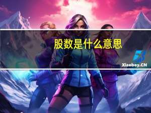 股数是什么意思