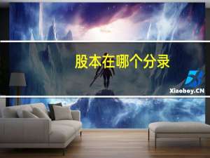 股本在哪个分录