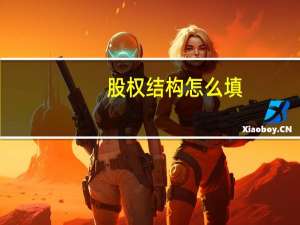 股权结构怎么填