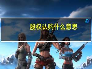 股权认购什么意思