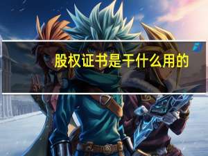 股权证书是干什么用的