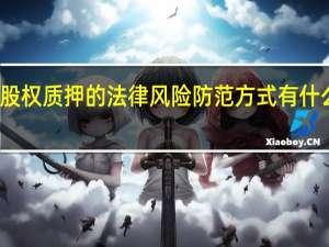 股权质押的法律风险防范方式有什么内容，有哪些