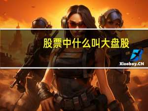 股票中什么叫大盘股