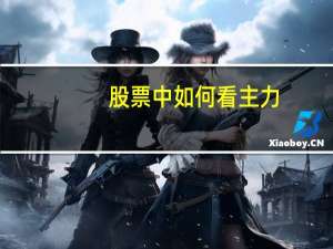 股票中如何看主力