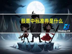 股票中标准券是什么