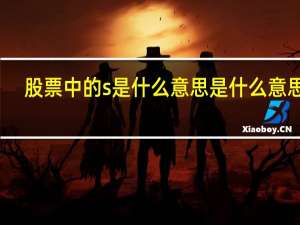 股票中的s是什么意思是什么意思啊