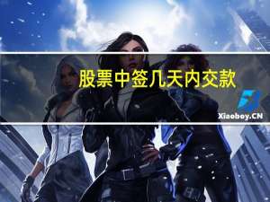 股票中签几天内交款