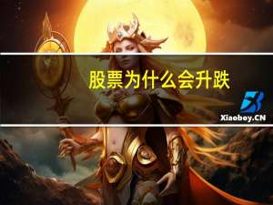 股票为什么会升跌