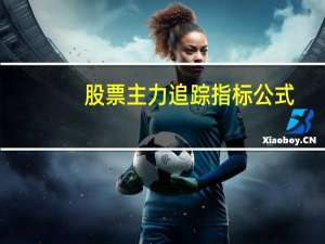 股票主力追踪指标公式