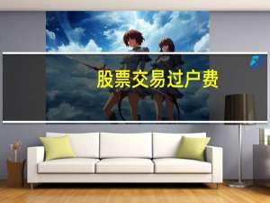 股票交易过户费