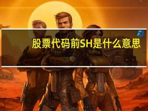 股票代码前SH是什么意思
