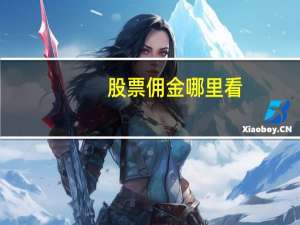 股票佣金哪里看