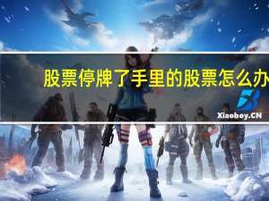 股票停牌了手里的股票怎么办