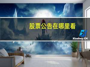股票公告在哪里看