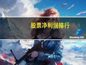 股票净利润排行