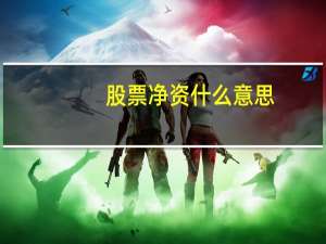 股票净资什么意思