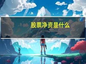 股票净资是什么