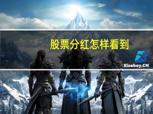股票分红怎样看到