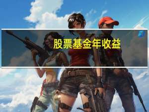 股票基金年收益