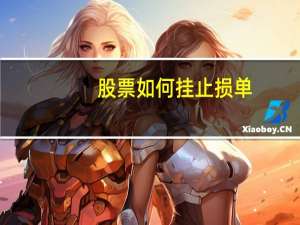 股票如何挂止损单
