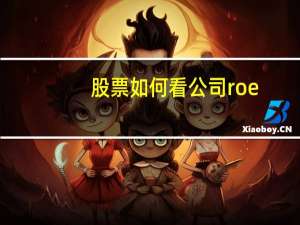股票如何看公司roe