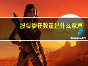 股票委托数量是什么意思