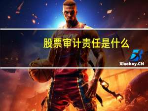 股票审计责任是什么