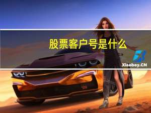 股票客户号是什么