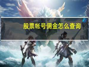 股票帐号佣金怎么查询