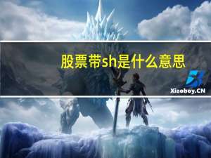 股票带sh是什么意思