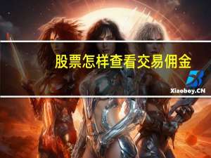 股票怎样查看交易佣金