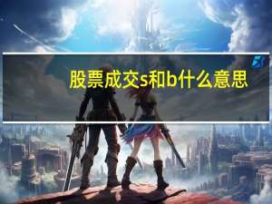 股票成交s和b什么意思