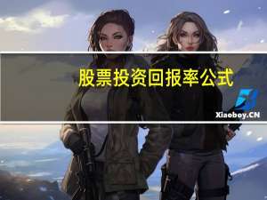 股票投资回报率公式