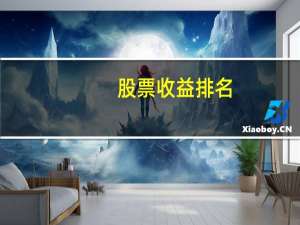 股票收益排名