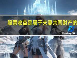 股票收益是属于夫妻共同财产的吗