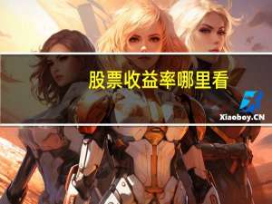 股票收益率哪里看
